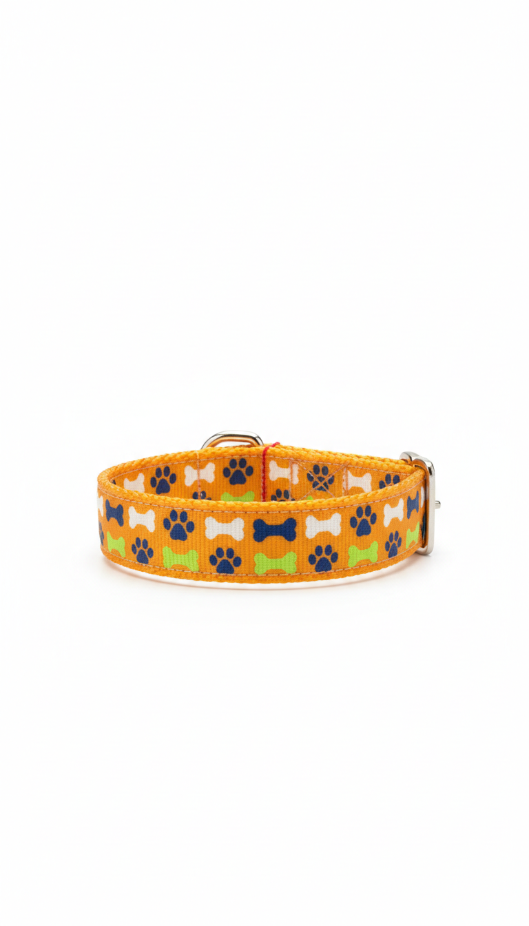 golden orange patterned dog collar
