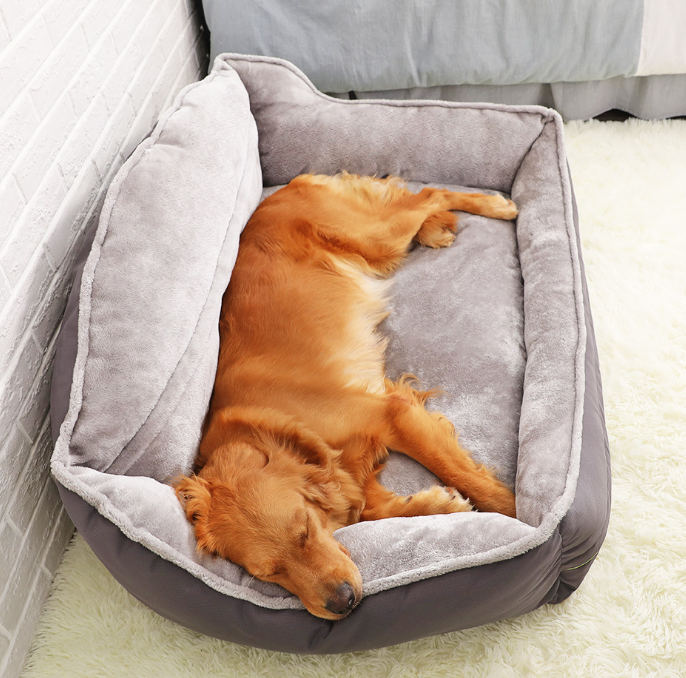 Purrfect Paws Portable Dog Bed