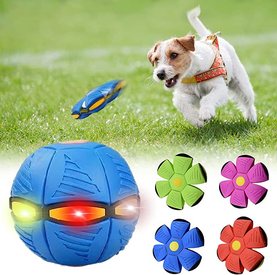 Purrfect Paws Dog Frisbee