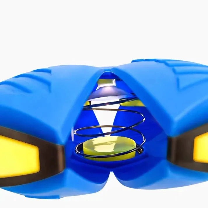 Purrfect Paws Dog Frisbee