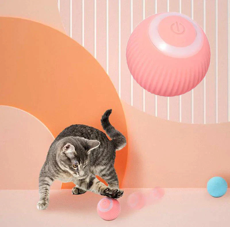 Purrfect Paws Interactive Cat Ball