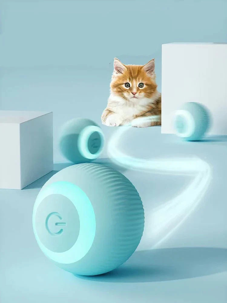 Purrfect Paws Interactive Cat Ball