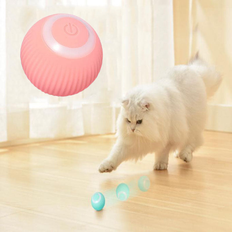 Purrfect Paws Interactive Cat Ball
