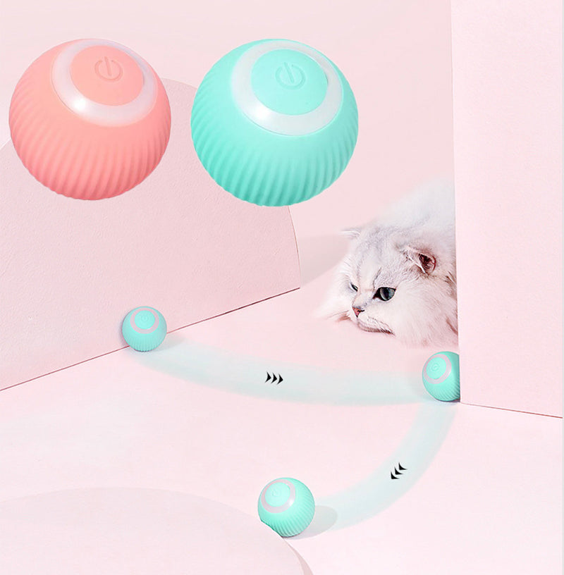 Purrfect Paws Interactive Cat Ball